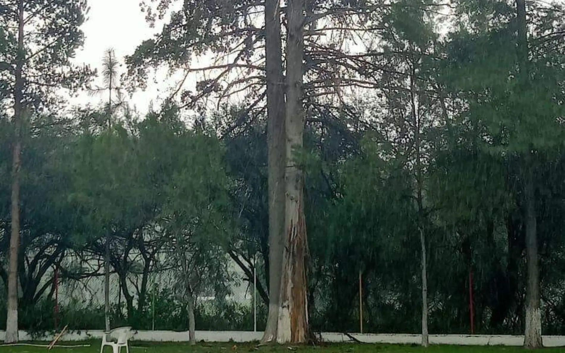 Rayo provoca caos en el Club Campestre de Durango